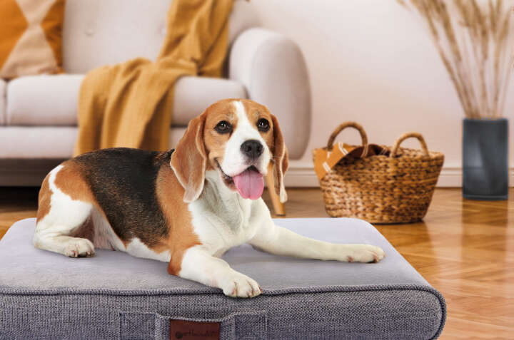 petlando Hundekissen Venezia Ortho